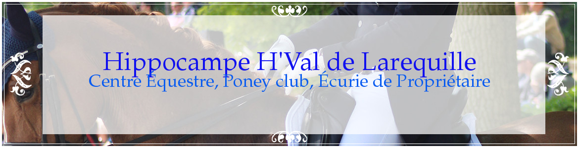 Hippocampe H'Val de Larequille